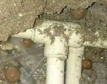 西陵测漏水多少钱