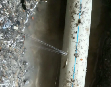 西陵测漏水哪家好