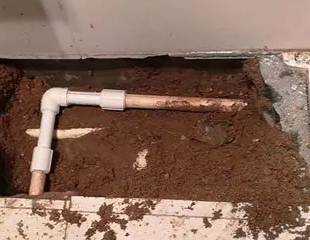 西陵测漏水哪家好