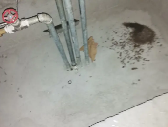 西陵卫生间测漏水价格明细