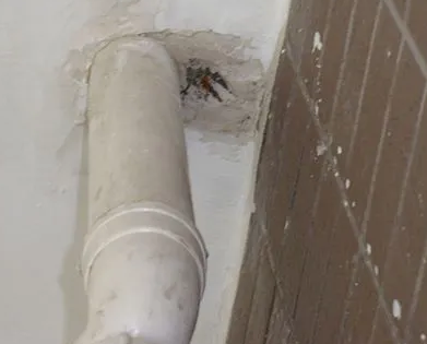 西陵漏水检测哪家好